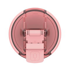 Guava